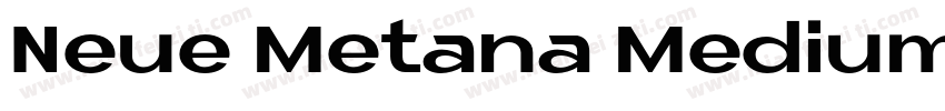 Neue Metana Medium字体转换